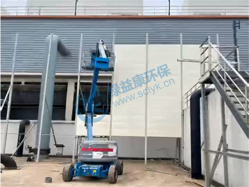 效果视频